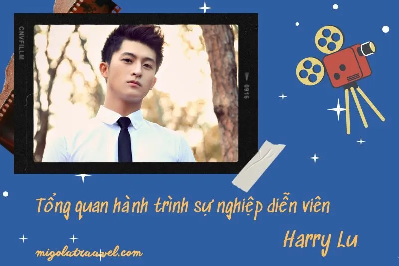 Tổng quan hành trình sự nghiệp diễn viên Harry Lu